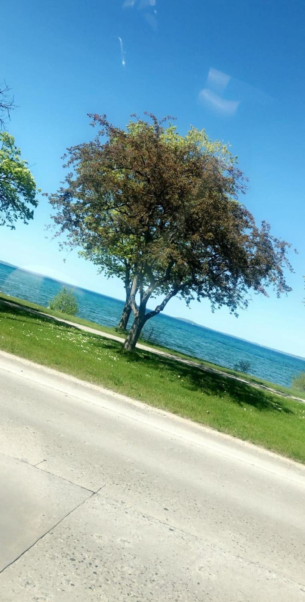 Downtown Traverse City Condo - Capri 209 외부 사진